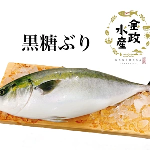 《期間限定》金政の黒糖ぶり1尾(4.5kg前後)