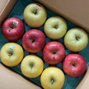 人気！3種食べ比べセット　サンふじ　王林　シナノゴールド