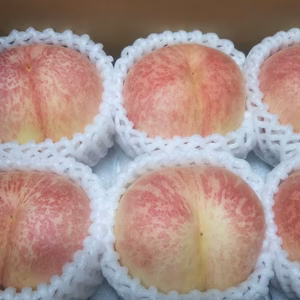 金山(家庭用)【お待たせ致しましたカリカリ桃の真打登場！】1.5kg前後