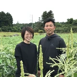藤田隆史 | Corn Lab. 藤田