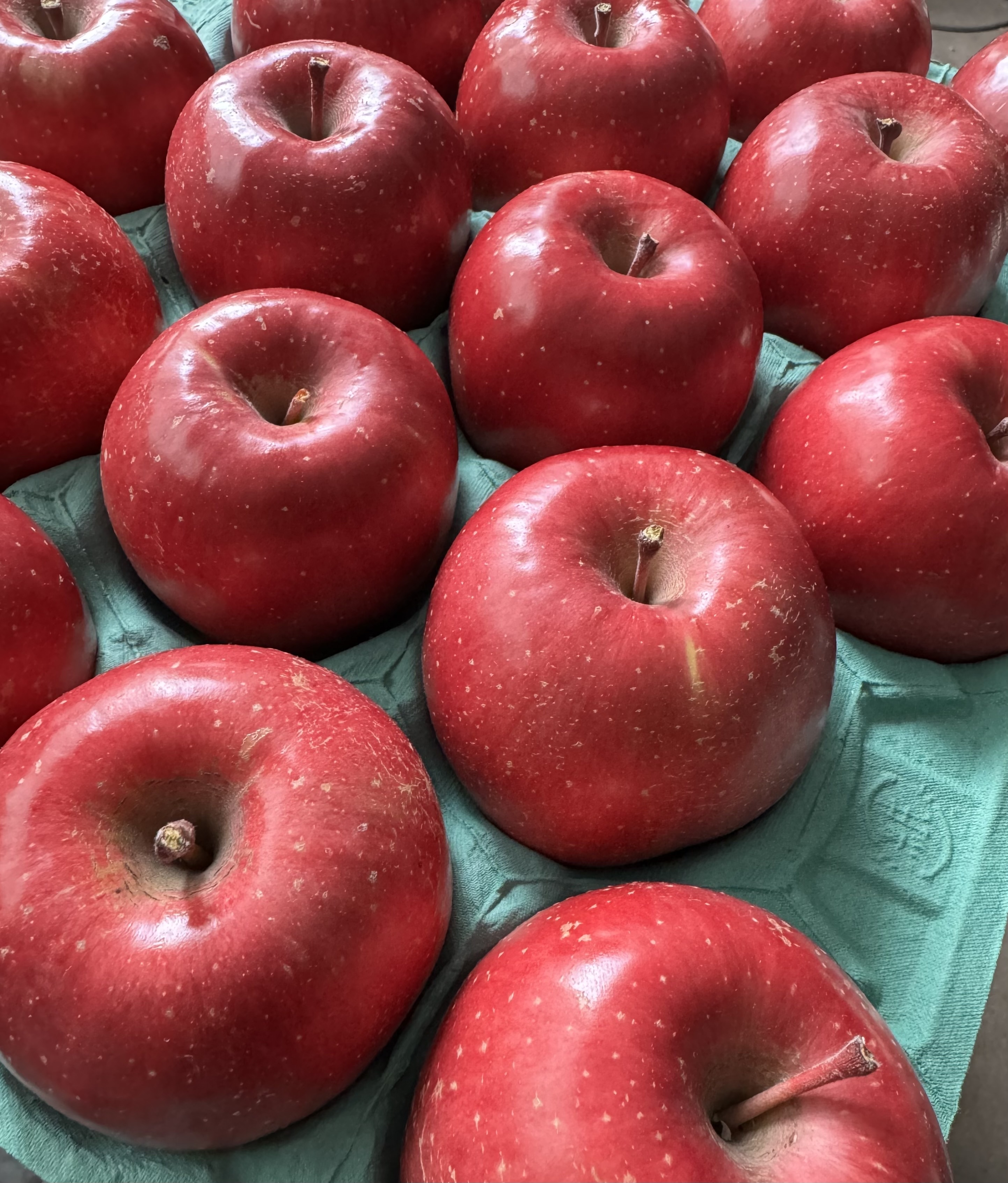 岩手県盛岡市産 完熟『サンふじ』3kg〜5kg 完熟サンふじ3kg箱8-11玉