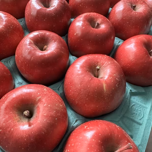 岩手県盛岡市産　完熟『サンふじ』３㎏～5㎏　