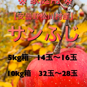 ★蜜入良好★安曇野松川村産【サンふじ家庭用】5k,10k