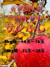 ★蜜入良好★安曇野松川村産【サンふじ家庭用】5k,10k