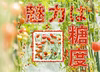 【温泉酵素野菜】Kagu＊yaのプレミアムトマト