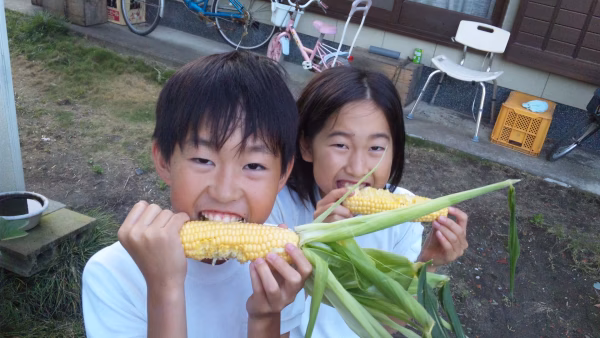 コロナに負けるな安西農園の生で美味しいトウモロコシ