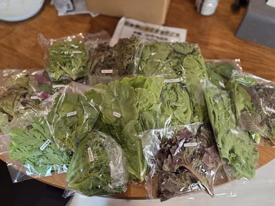 みんなの投稿の画像