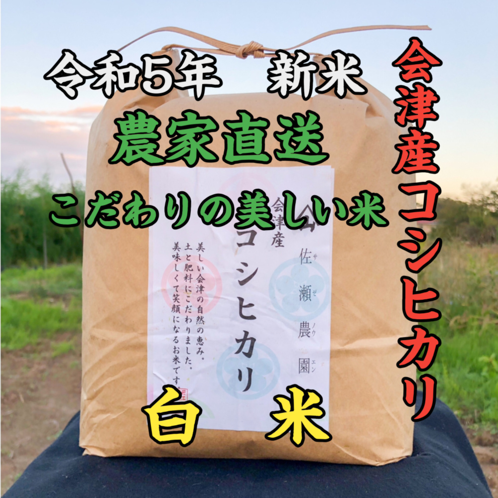 令和5年 福島県産コシヒカリ10キロ白米 - 米・雑穀・粉類