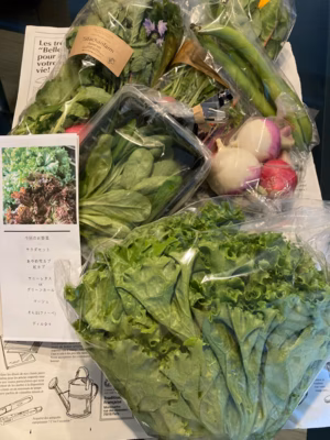 みんなの投稿の画像