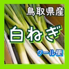 【クール便】白ネギ 3kg LL20本 L30本 M40本 ねぎ ランダム10k