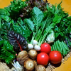 【春分】魚の町で長年育ててもらった野菜セット