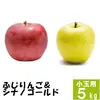 ふじりんご&シナノゴールド【小玉訳あり5kg】食べ比べ☆10月下旬頃出荷予定