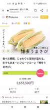ぶどうより甘いとうもろこし『博多うまきび』訳ありプレミアム詰め放題