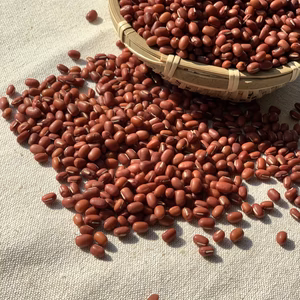 北海道十勝産エリモ小豆と大正金時セット