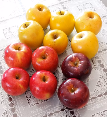 みんなの投稿の画像