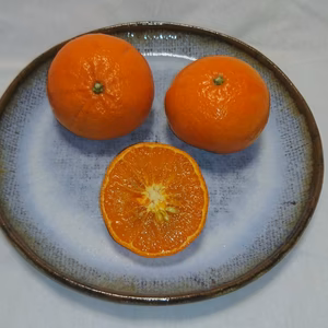 見た目△味は◎【べにばえ】家庭用