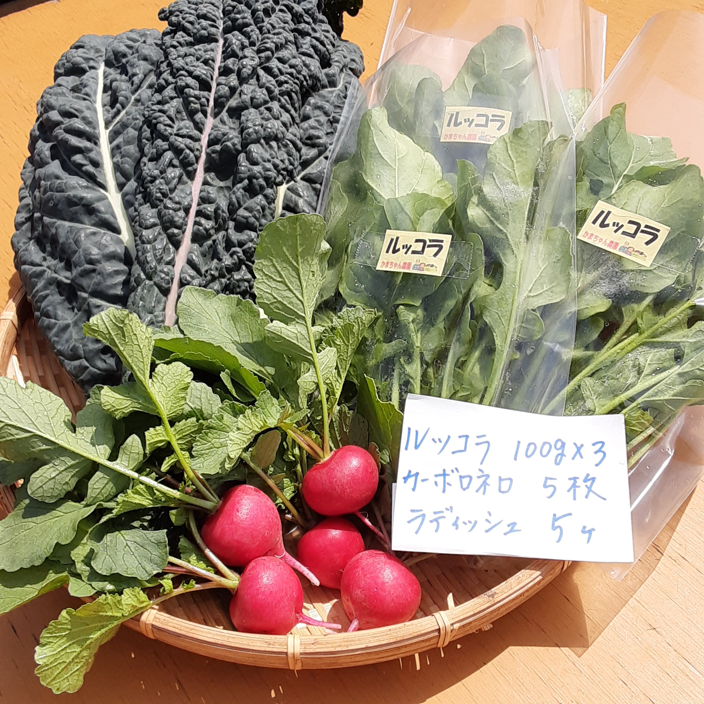 かまちゃん農園の ルッコラ カーボロネロ ラディッシュ セット 農家漁師から産地直送の通販 ポケットマルシェ