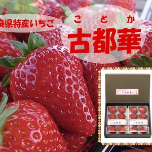 贈答用 ”完熟いちご 古都華” 8～15粒（270～320ｇ）×2パック