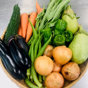 【送料無料】元気やさい雅・野菜の詰め合わせ