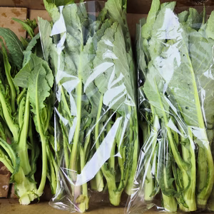 野沢菜のとう立ち菜　※発祥の地域、飯山市産、豪雪地帯の越冬野菜