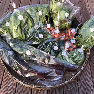 【糸島産】旬の糸島野菜５～6品セット（80サイズ）