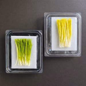 九条ねぎから生まれた、唯一の軟白芽ねぎ【九条の万葉芽ねぎ（⻩彩 ŌSAI ）】