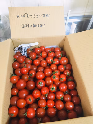 みんなの投稿の画像