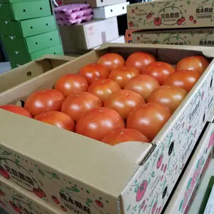朱色に仕上がる大玉トマト。3kg。
