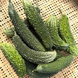 新鮮な夏野菜・ゴーヤ(にがうり)1.8kg