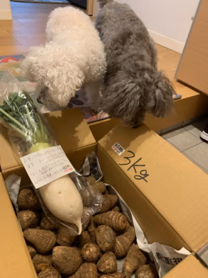 みんなの投稿の画像