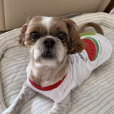 未来ちゃんママ