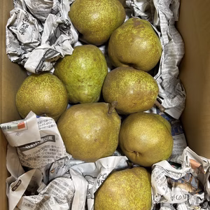 訳あり規格外ラフランス5キロバラ詰め箱込5.5キロ