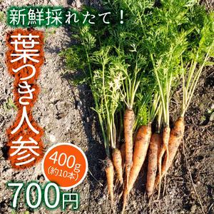 大阪エコ農産物認証　葉つき人参　400g（約10本）（採れたて即日配送）