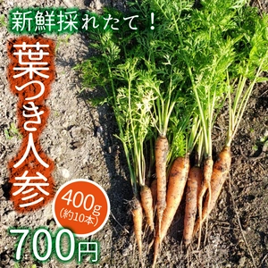 大阪エコ農産物認証　葉つき人参　400g（約10本）（採れたて即日配送）