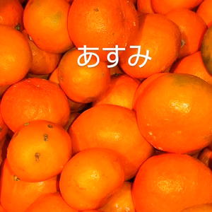 【あすみ】家庭用 光センサー使用 ２.５キロ サイズMIX          