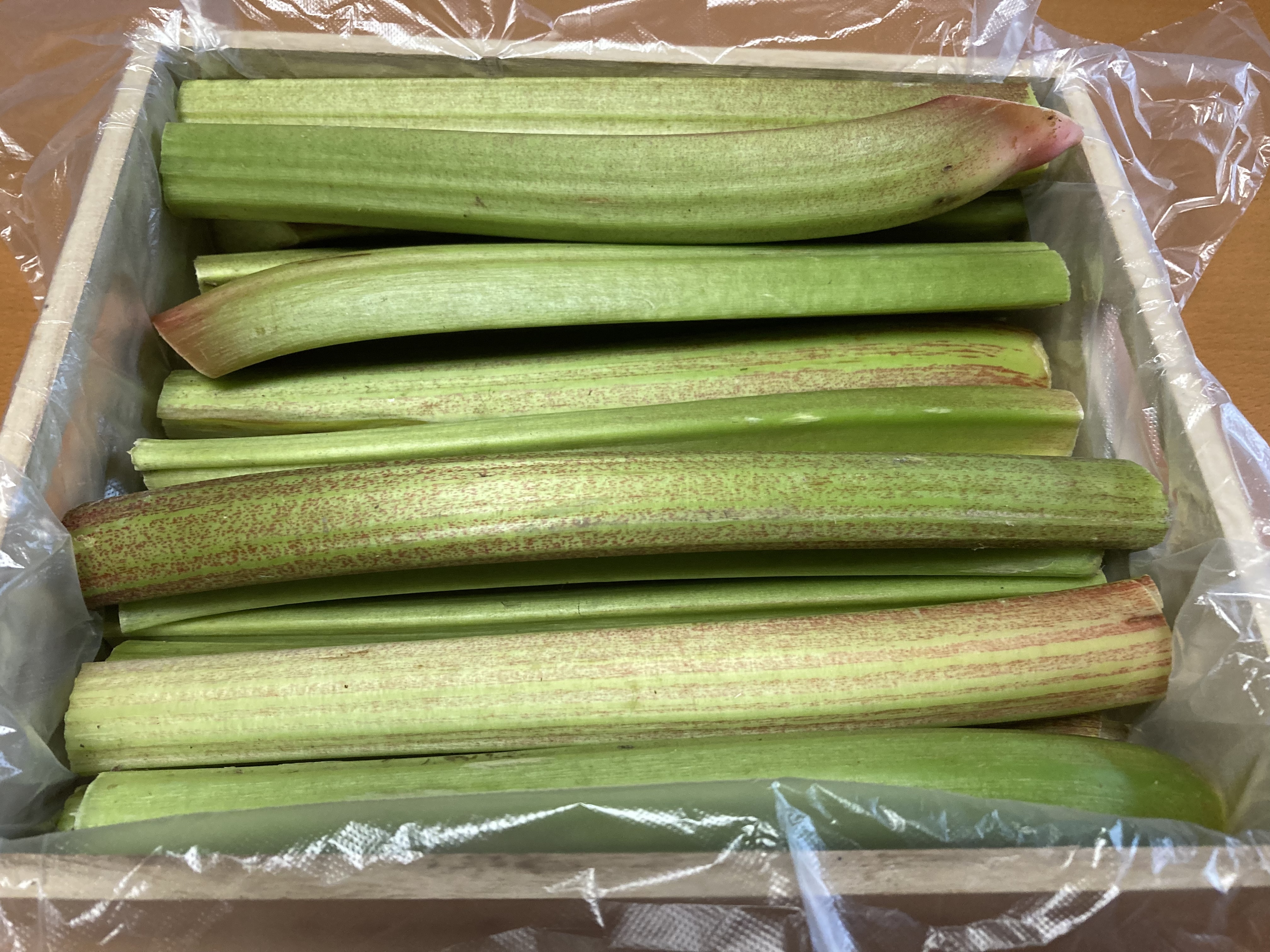 信州産 フレッシュ ルバーブ グリーン/絶品 簡単クランブルを作ろう! 1箱2キロ入り