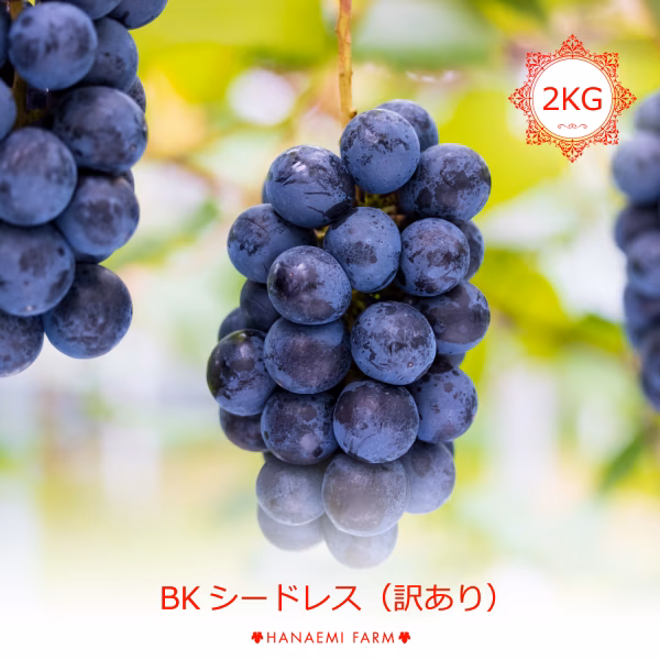 WBK-2 花笑み農園　訳あり『BKシードレス』2kg