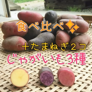 淡路島産の玉ねぎとじゃがいも！AwajicHorrorGarden