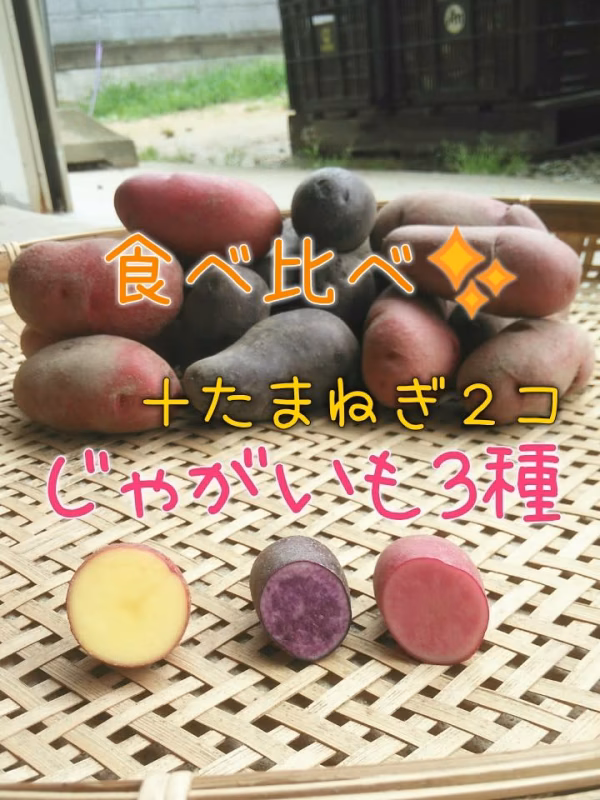 淡路島産の玉ねぎとじゃがいも！AwajicHorrorGarden