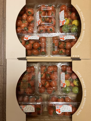 みんなの投稿の画像