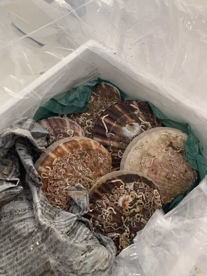 みんなの投稿の画像