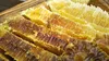 日本蜜蜂のはちみつ　100％PURE　RAW　
