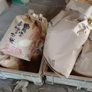 千葉県産美味しいお米販売致します。安西農園米(ふさこがね)