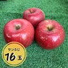 【贈答用】りんご（サンふじ）16玉箱入