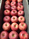3種類の葉とらず栽培のりんごジュース飲み比べセット