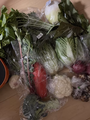 みんなの投稿の画像