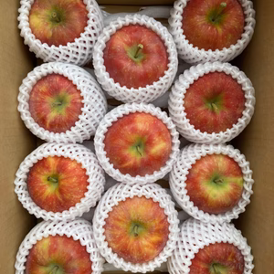 近日中発送！ジューシーりんご！シナノリップ 約2kg～ 信州りんご