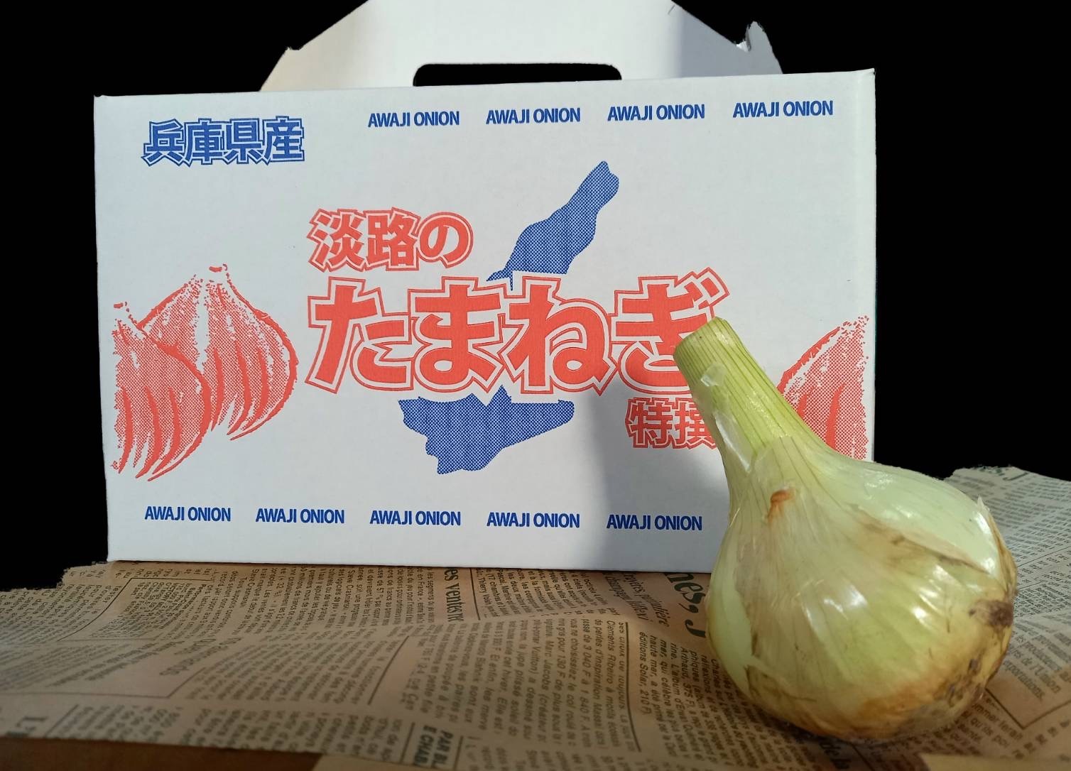 3kg訳あり淡島産玉ねぎ 超極早生玉葱 スーパーアップ - 野菜