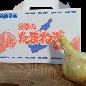 淡路島❤️減農薬特別栽培★新玉ねぎ  約3㎏（七宝早生）