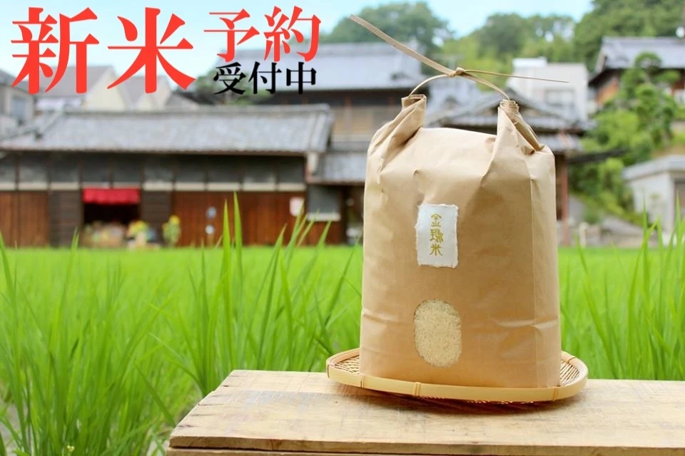 新米予約【金鵄米/５分づき】きんしまい2021年産ヒノヒカリ